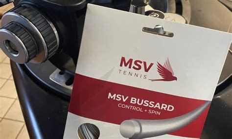 msv bussard review  Gauge: 1
