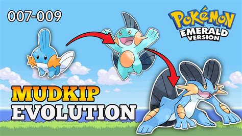 mudkip evolve  Mudkip evolves all the way into the versatile Swampert, a Pokémon that is one of the few to be viable in all three PvP leagues as well as PvE