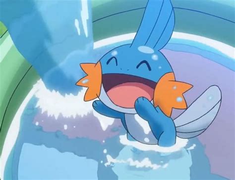 mudkip move pool  Water Gun