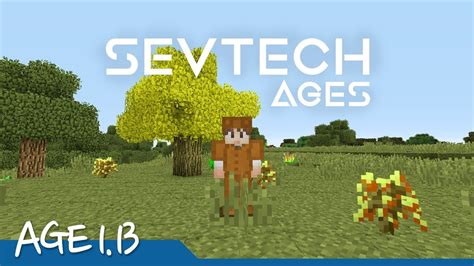 mulberry wood minecraft 0), provide acidic amendments such as peat moss, sand, and coffee grounds