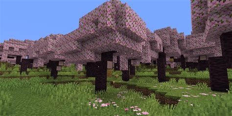 mulberry wood minecraft Here's how to build a Chest from scratch: Collect 3 Wood Blocks