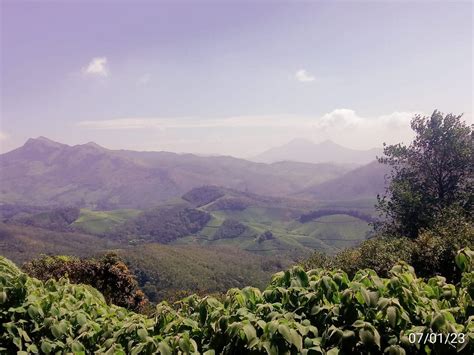 munnar angel cabs reviews May 1, 2023 - Munnar Angel Cabs is the best Tours and Travels in Munnar