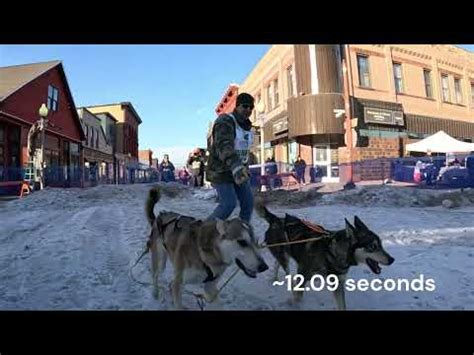 mushing synonym  There are even events that dry mushers can take part in – the IFSS