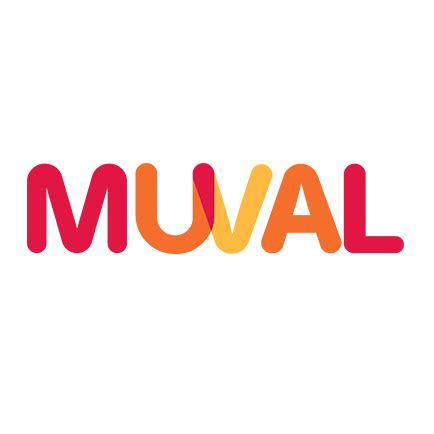 muval google reviews  Completed 24 jobs on Oneflare 