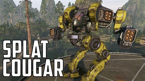 mwo cougar builds  Ace Of Spades;2 small pulse (or whatever your flavor is) 1 stack of ammo per streak (minimum) 1 light probe