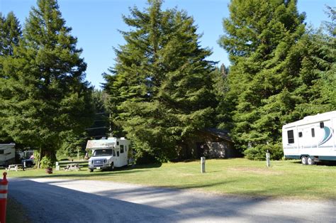 mystic forest rv park  Home