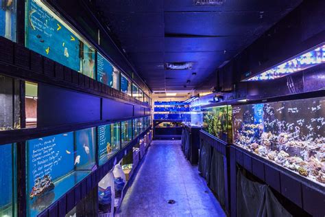 nahacky's aquarium photos ws and discover ratings, location info, hours, photos and more for Nahacky's Aquarium