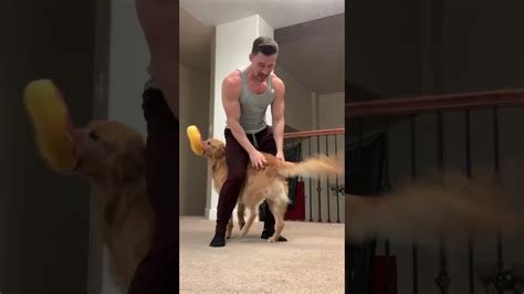 nala stomps  More recently, someone reposted the video to r/aww on Reddit, giving us another chance to enjoy the dog who wants to be friends with everyone