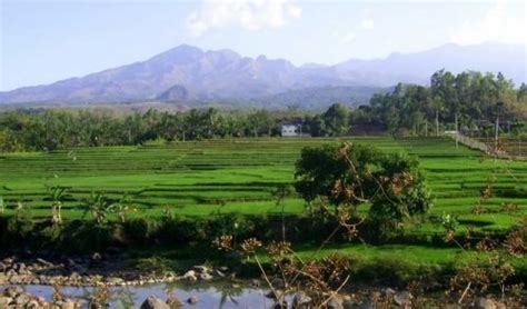 nama dataran rendah di sulawesi 478 meter, kemudian ada gunung Klabat 1