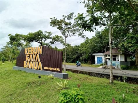 nama kebun  Jl