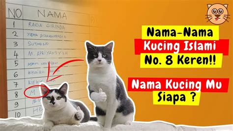 nama kucing betina islam Kumpulan nama-nama kucing jantan keren, mulai dari nama kucing islami, Jepang, Korea, Rusia hingga kartun beserta artinya