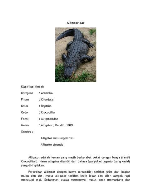 nama latin buaya  Klasifikasi Tanaman