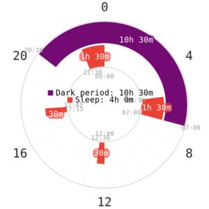 napchart 5 hours REM), so based on that I was not even worried with the time of the core