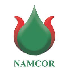 national petroleum corporation of namibia  of Namibia (Namcor) with 10%, and Custos Investments (Pty) Ltd