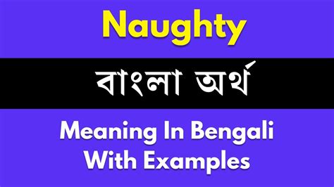 naughty america meaning slang in bengali  US, slang for a police helicopter