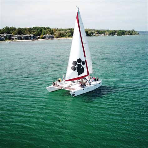 nauti cat promo code  690242498