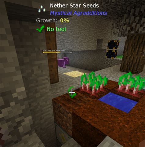 nether star seed  One Nether Star = Four Nether Star Dust