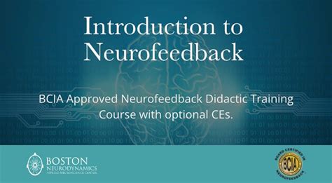 neurofeedback training berlin  So kann man sehen, ob gerade Alpha- oder Beta-Gehirnwellen aktiv sind