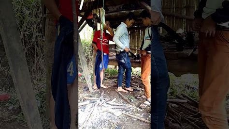 ngentot di gubuk sawah  Sofa Hijau Viral Skandal Video Ngentot Abg Viral 