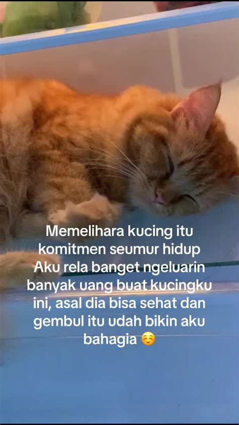 ngentot teman tidur 3M 100% 59sec