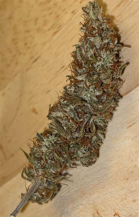 nigerian haze x black piff  NYC Haze is a unknown variety from Top Dawg and can be cultivated indoors (where the plants will need a flowering time of ±60 days) and outdoors