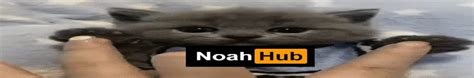noah hub bitlife html