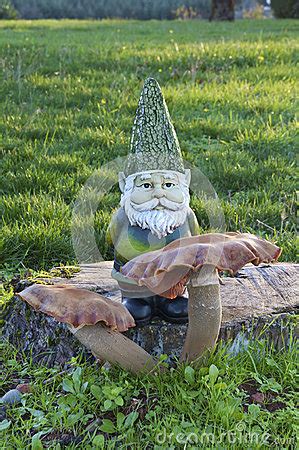 noggin the gnome Noggin the Gnome White Hat quantity