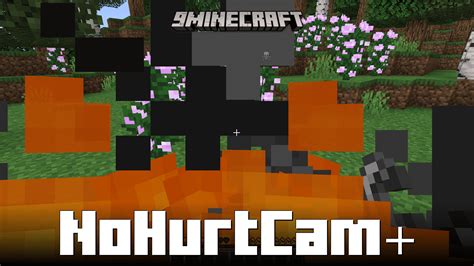 nohurtcam mod forge 20