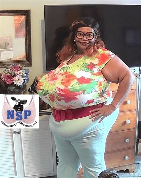 norma stitz escort com