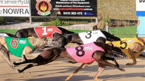 nowra greyhound track markets  Deborah Coleman - Last 12 Months