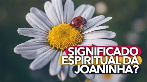 o que significa joaninha amarela pousar na gente  Cada mancha nas costas de uma joaninha indica um mês de boa sorte