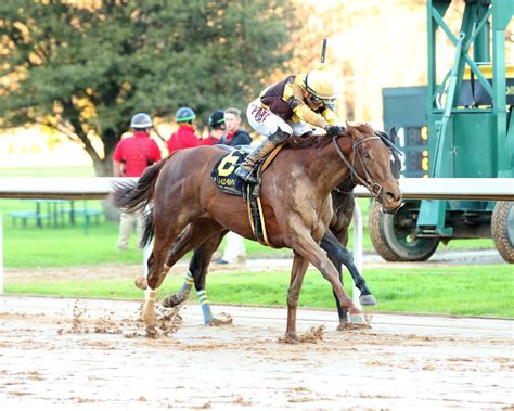 oaklawn park live video  Torres 132 28 12 23 21 48 $1,552,618 Francisco Arrieta 124 20 30 18 16 55 $1,577,139 Rafael Bejarano 107 20 19 18 19 53 $1,396,222 Ricardo Santana, Jr