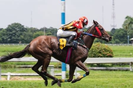 odds voor paardenrennen Vertalingen in context van "renbanen voor paardenrennen" in Nederlands-Frans van Reverso Context: De gelukkige Renbaan van de Vallei is één van de twee renbanen voor paardenrennen en toeristenaantrekkelijkheid in Hongkong