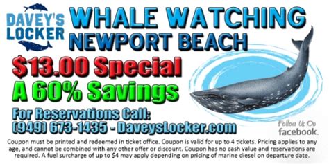 odyssey whale watch coupons  Save 25% Off