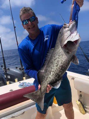 offshore addict charters  Offshore Addi List Your Fishing Services; Login; Travel & Accomodations; List Your Fishing Services; Login; Travel & Accomodations; Trips from: $1,000