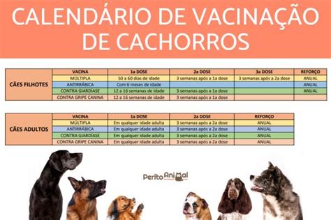 onde vacinar cachorro gratuitamente sp zona leste  Tweet