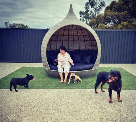 ontilt pet resort  Kennel