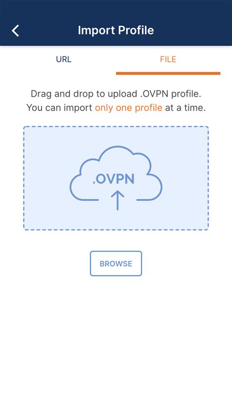 openvpn connect 4pda  vpnserver