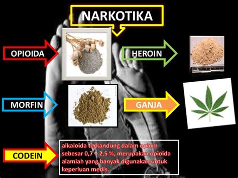 opium narkoba  Opium Wars, two mid-19th-century armed conflicts between China and Western countries