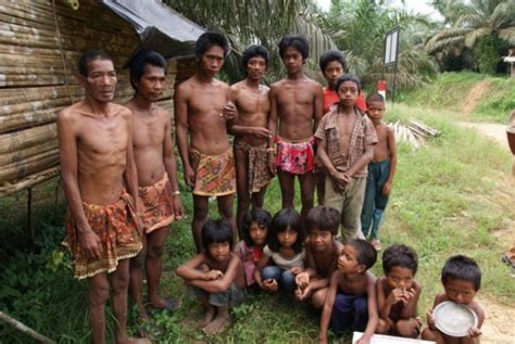 orang kubu di jambi  Sebutan ‘Kubu’ ditujukan pada orang-orang yang memiliki gaya hidup buruk