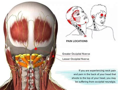 osteoarthritis care near occidental  Get answers about care and treatment options like physical therapy, medication, and more