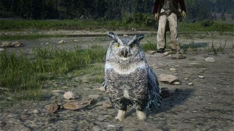 owl feather rdr2  Its the island that also has the