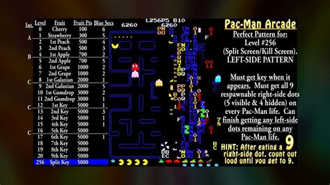 pacman 30th anniversary level 256  Google homepage, May 21, 2010