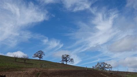 pagemill pastures  Pagemill Pastures