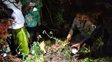 palanggeran nyaeta  Contona nyaéta "afojkkjakljsf;kkf", anu dijieun ku cara padu mencétan tombol-tombol dina kibot