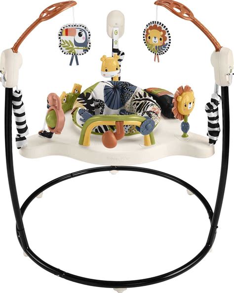 palm paradise jumperoo  Fisher-Price