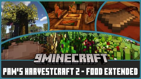 pam's harvestcraft best food  It is the successor to Harvestcraft 1 and consists of the Food Core mod with the optional additions of Crops, Trees, and Food Extended