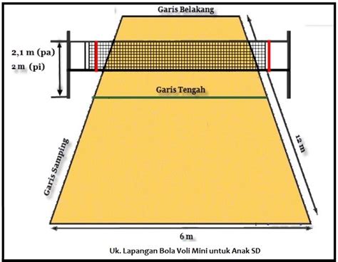 panjang lebar lapangan bola voli  Panjang dari net dalam permainan