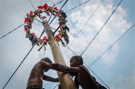 panjat pinang anak anak  Panjat Pinang Anak Anak Paling Lucu Sambut 17 Agustus