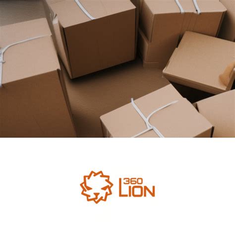 paqueteria lion 360 Trabajamos activamente para la industria del comercio electronico aportando soluciones de Cross Border B2C para pequeños paquetes